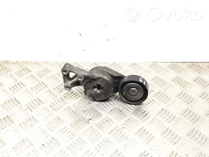 Volkswagen New Beetle Generator/alternator belt tensioner 06A9036315E