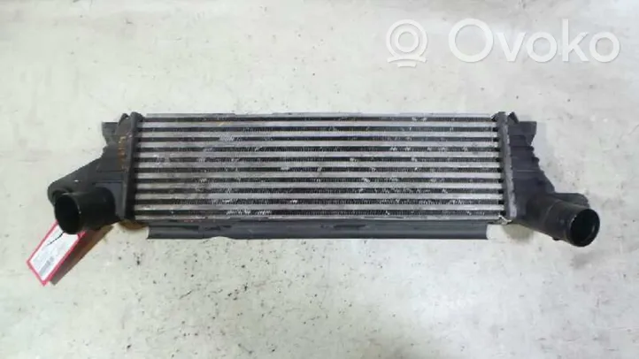 Renault Kangoo III Intercooler radiator 