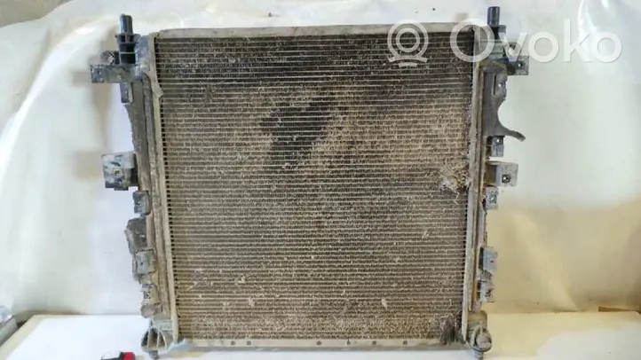 SsangYong Kyron Aušinimo skysčio radiatorius 