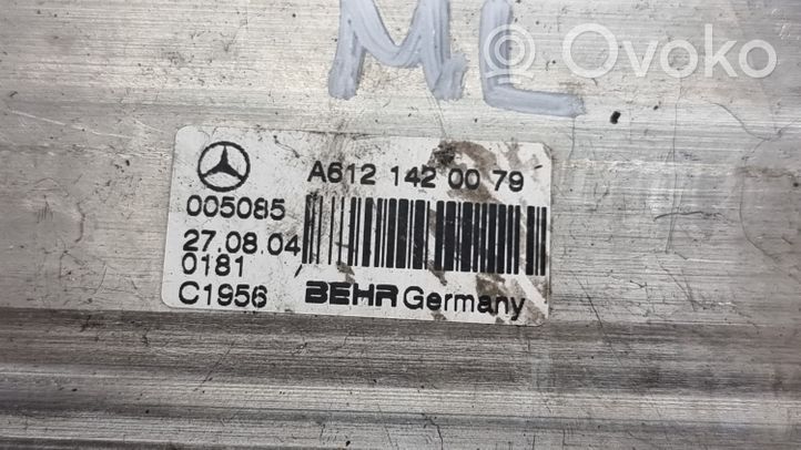 Mercedes-Benz ML W163 EGR aušintuvas A6121420079