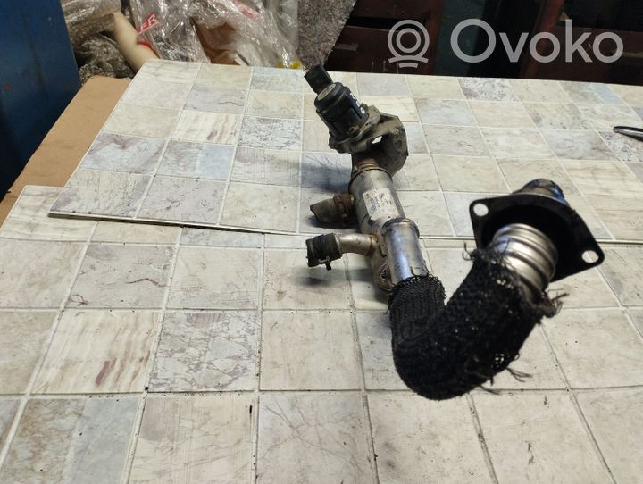 Citroen Berlingo EGR-venttiili/lauhdutin 9646762280