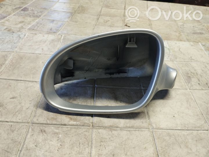 Volkswagen PASSAT B6 Coque de rétroviseur 4921152