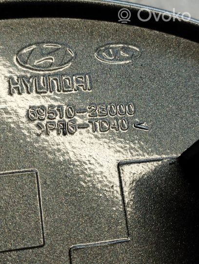 Hyundai Santa Fe Klapka wlewu paliwa 695102B000