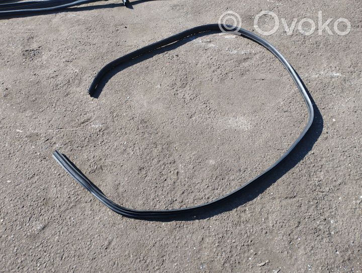 Ford Mondeo MK IV Front door rubber seal 