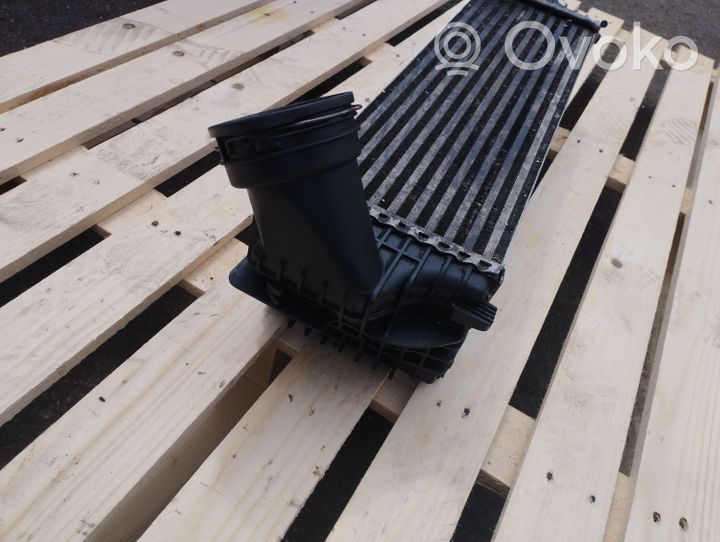 BMW X6 E71 Chłodnica powietrza doładowującego / Intercooler 1751780932101