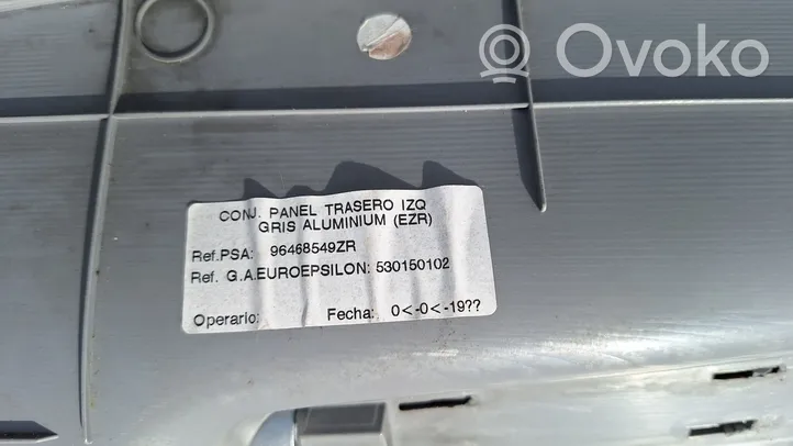 Citroen C3 Pluriel Garniture de panneau carte de porte avant 9642000377