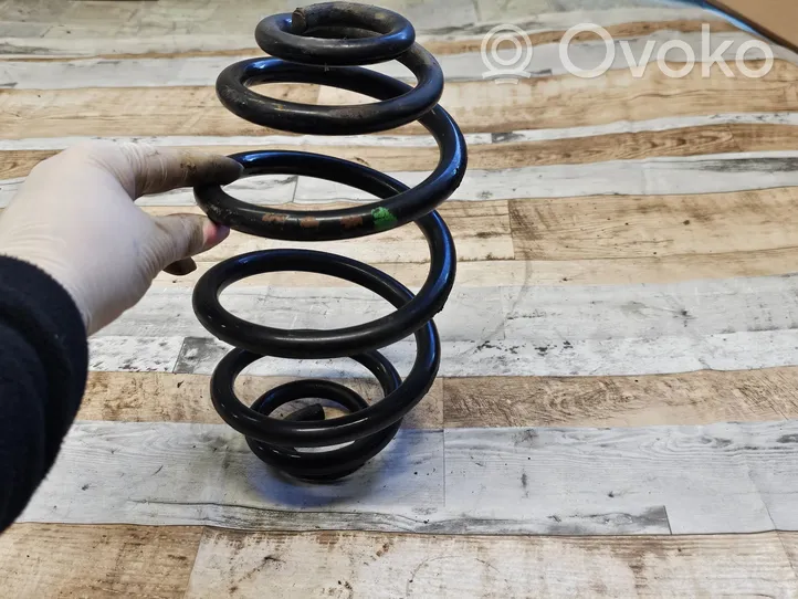 Volkswagen PASSAT B5.5 Rear coil spring 