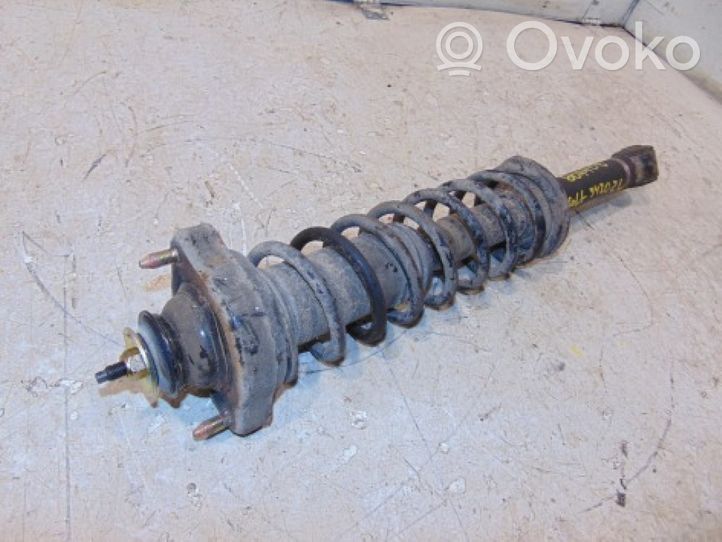 Mitsubishi Colt Rear shock absorber with coil spring MR244447