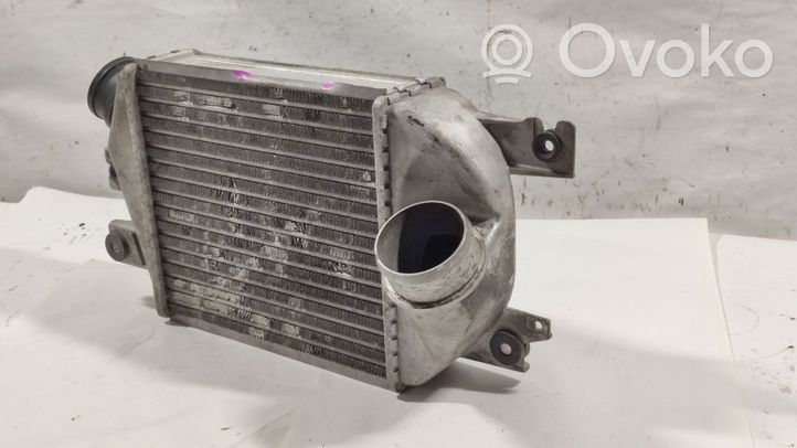 Subaru Legacy Chłodnica powietrza doładowującego / Intercooler 21821AA051