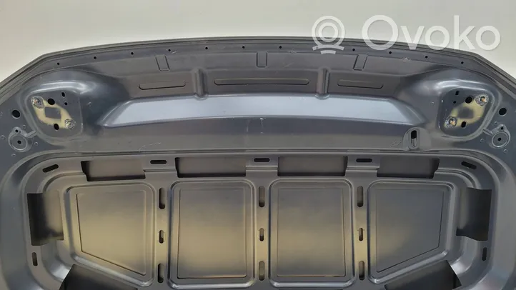 Volkswagen T-Roc Engine bonnet/hood 