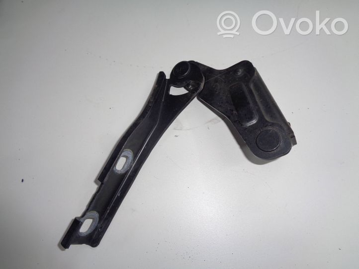 Seat Exeo (3R) Scharnier Motorhaube 3B0823302A