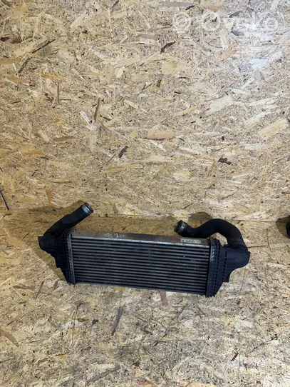 Mercedes-Benz GL X164 Support de radiateur sur cadre face avant A2515000000