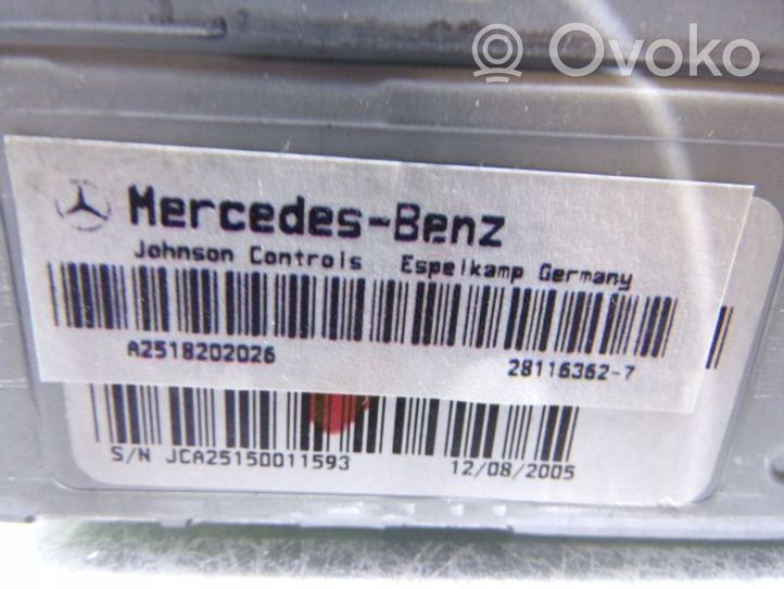 Mercedes-Benz R W251 Citu veidu instrumenti A2518202026