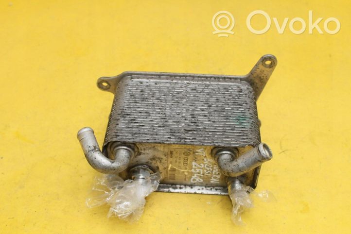 Volkswagen Phaeton Engine oil radiator 