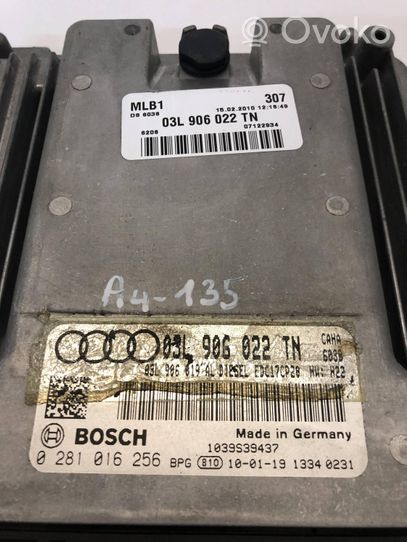 Audi A4 Allroad Calculateur moteur ECU 03L906022TN