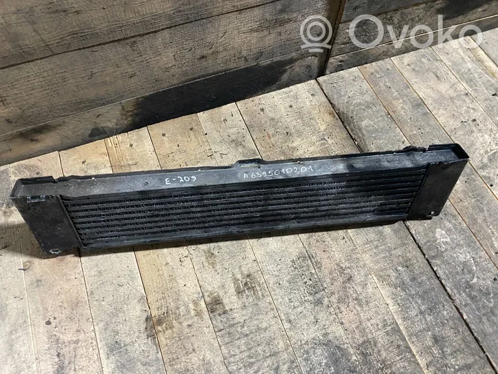 Mercedes-Benz Vito Viano W639 Starpdzesētāja radiators A6395010201