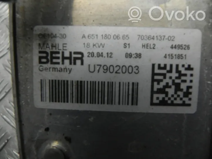 Mercedes-Benz B W246 W242 Altra parte del motore A6511800610