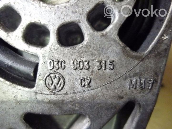 Volkswagen Golf V Paskirstymo diržo įtempėjas 03G903315