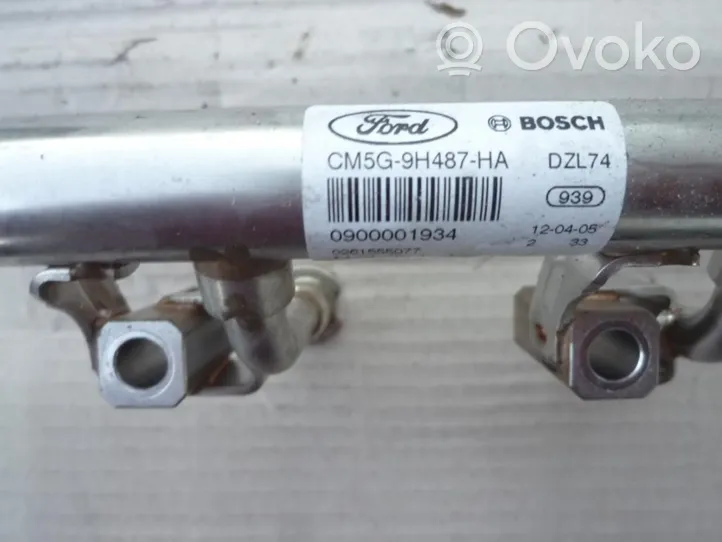 Ford Focus Kraftstoffverteiler Einspritzleiste CM5G9H487HA