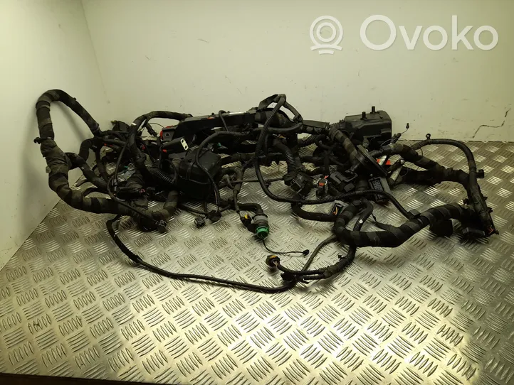 Alfa Romeo Stelvio Other wiring loom 00505585130