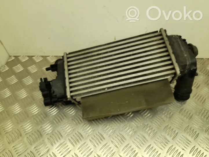 Ford Puma Chłodnica powietrza doładowującego / Intercooler L1BG6D624AA