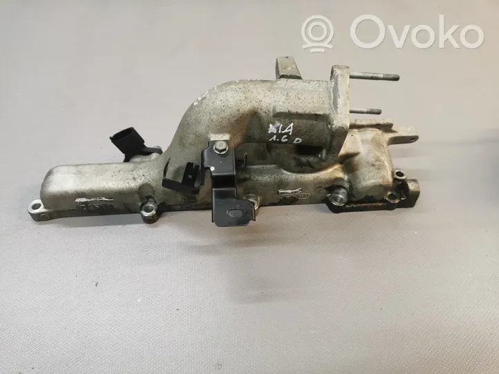 KIA Sportage Exhaust manifold 