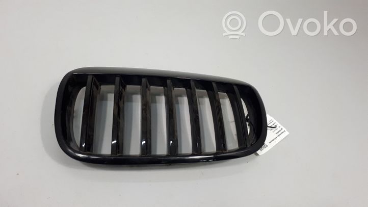 BMW X6 E71 Front bumper upper radiator grill 