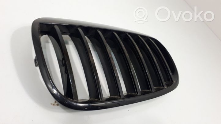 BMW X6 E71 Front bumper upper radiator grill 