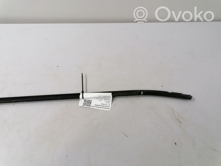 BMW X5 E70 Guarnizione in gomma finestrino/vetro portiera anteriore 1234567