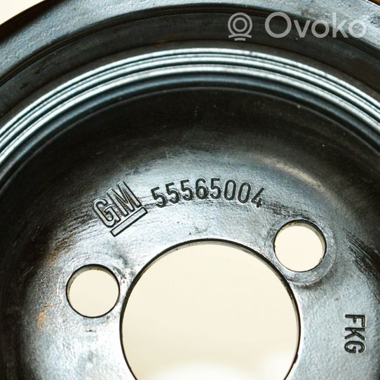 Opel Insignia A Poulie de pompe à eau 55565004
