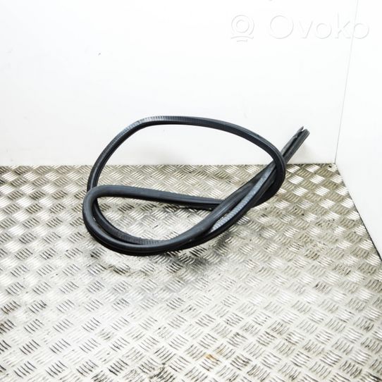 Audi A6 S6 C6 4F Rubber seal rear door 