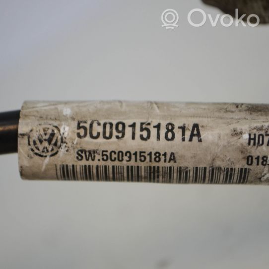 Volkswagen Jetta VI Negative earth cable (battery) 5C0915181A