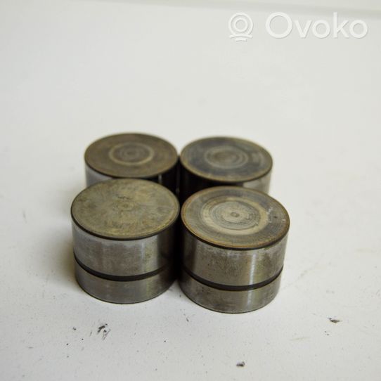 Volkswagen PASSAT B6 Tappets lifter 038109309B