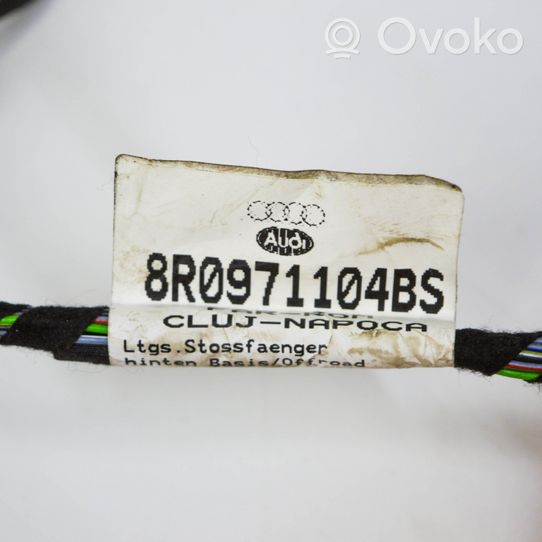 Audi Q5 SQ5 Cablaggio del sensore di parcheggio (PDC) 8R0971104BS