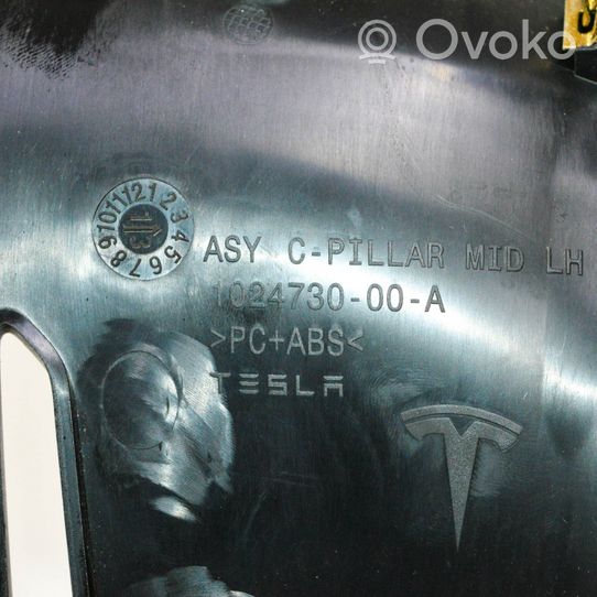 Tesla Model S Rivestimento montante (D) (fondo) 102473000A
