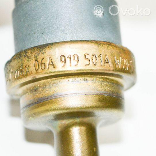 Audi A4 S4 B7 8E 8H Sonde de température de liquide de refroidissement 06A919501A