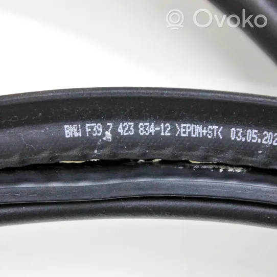 BMW X2 F39 Trunk rubber seal (body) 7423834