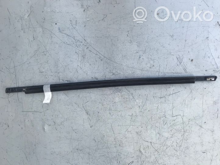 Opel Zafira B Rubber seal front door window/glass 013132100