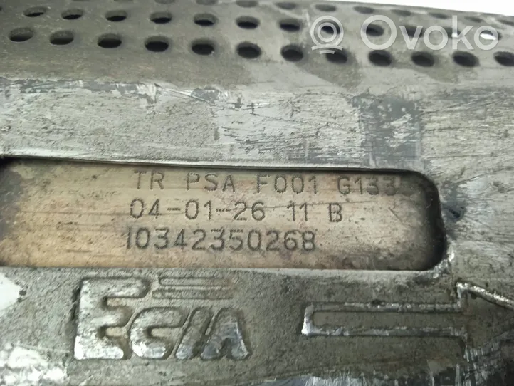 Peugeot 607 Katalysaattori/FAP/DPF-hiukkassuodatin F001G1335