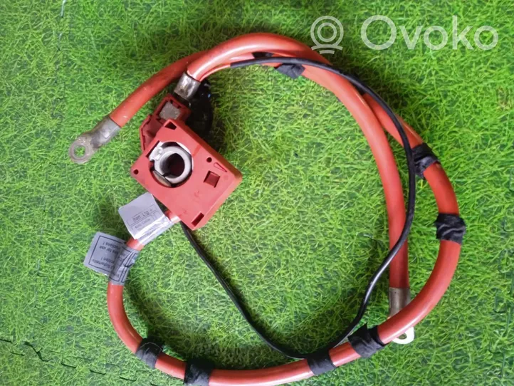 BMW M6 Positive cable (battery) 61126989784