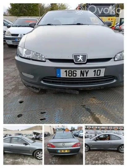 Peugeot 406 Couvercle de coffre 860670