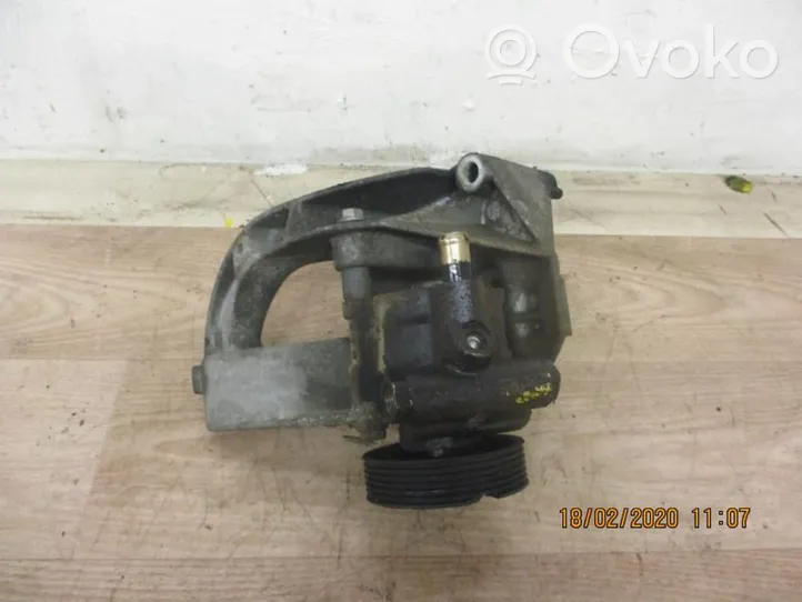 Renault Kangoo I Ohjaustehostimen pumppu 491100699R