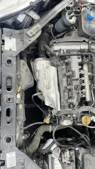 Fiat Bravo Boucle de ceinture de sécurité arrière 735440824