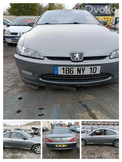 Peugeot 406 Kaasupoljin 1601F8