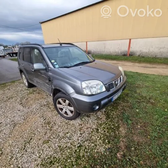 Nissan X-Trail T30 Silnik / Komplet 10102ES6AA