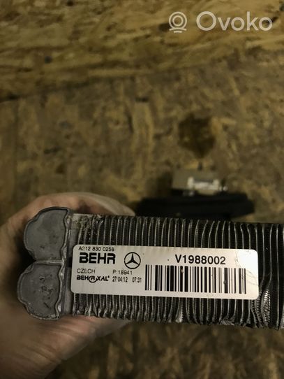 Mercedes-Benz E W212 Ilmastointilaitteen sisälauhdutin (A/C) 