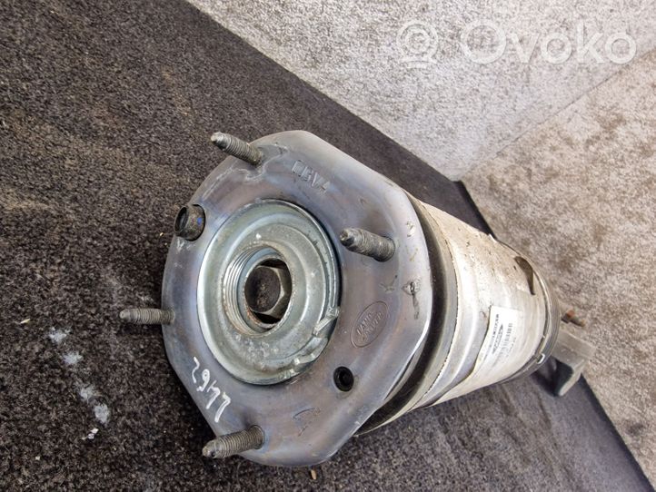 Land Rover Discovery 5 Amortisseur airmatic de suspension pneumatique avant HY323C285BC