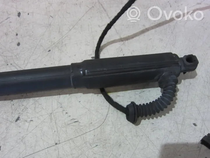 BMW X5 E70 Jambe de force de hayon 51247172060