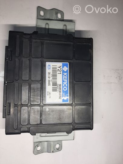 KIA Sorento Sterownik / Moduł ECU 3911039465