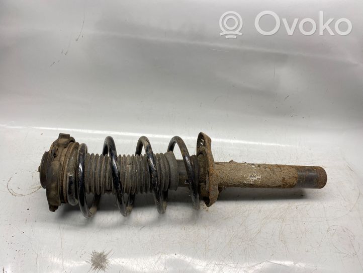 Volkswagen Golf V Ammortizzatore anteriore con molla elicoidale 1k0413031